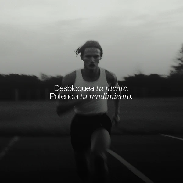 ZZEN FOCUS + ENFOQUE INTELIGENTE