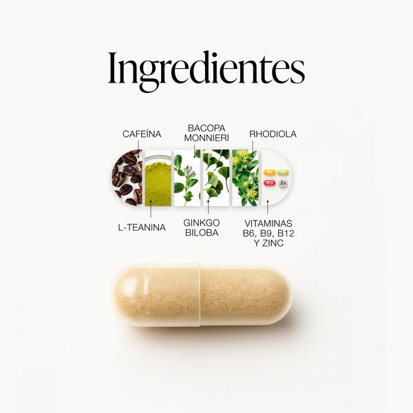 ZZEN FOCUS + ENFOQUE INTELIGENTE