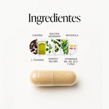 ZZEN FOCUS + ENFOQUE INTELIGENTE